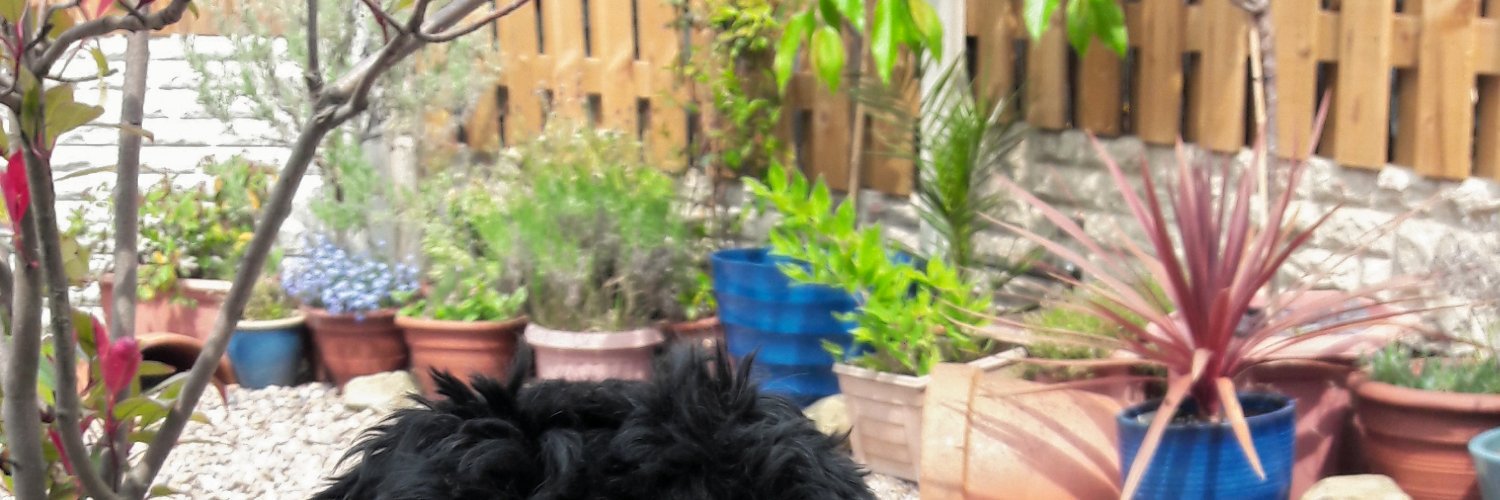 alywhiteart's profile banner image
