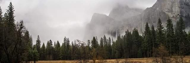 PaisleyArizona's profile banner image