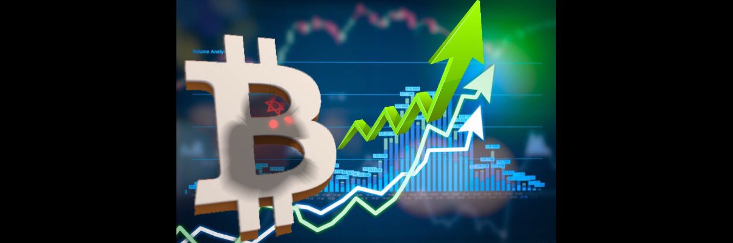 WallStreetBets & Co. banner