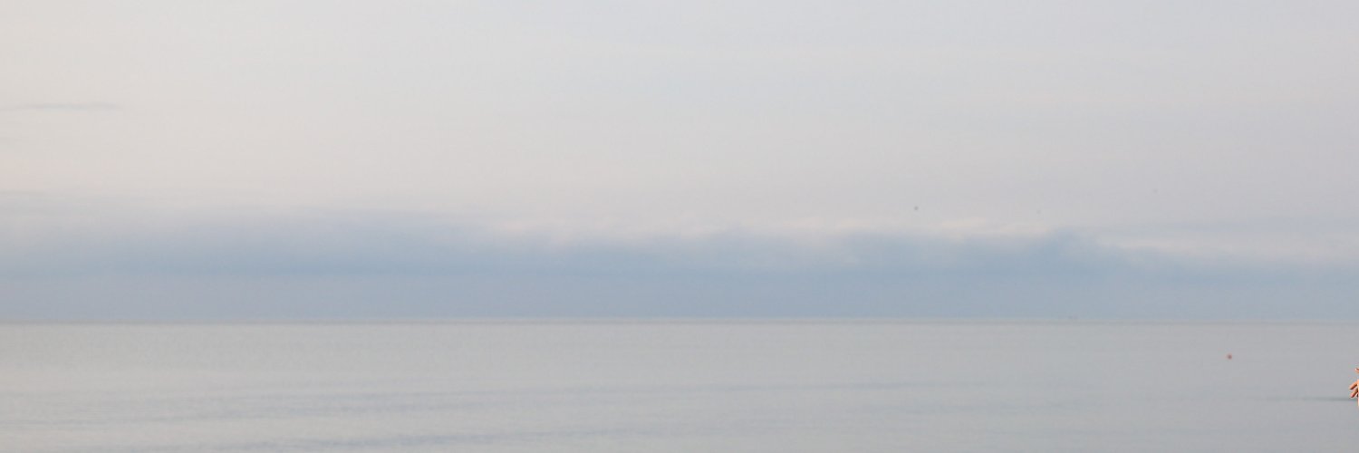 surkovaannaa's profile banner image