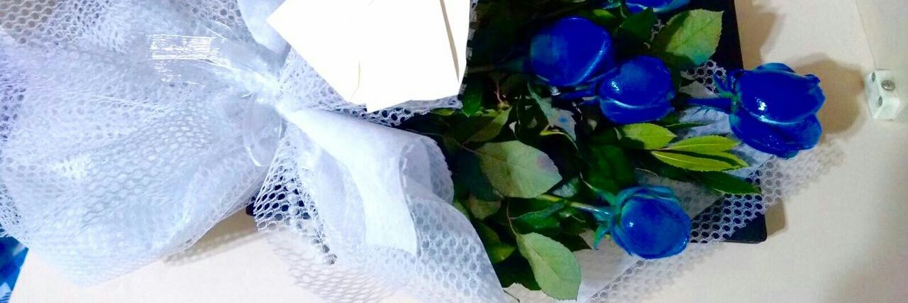 ozlemzes's profile banner image