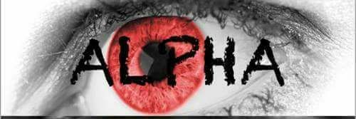 arthurtorresp's profile banner image