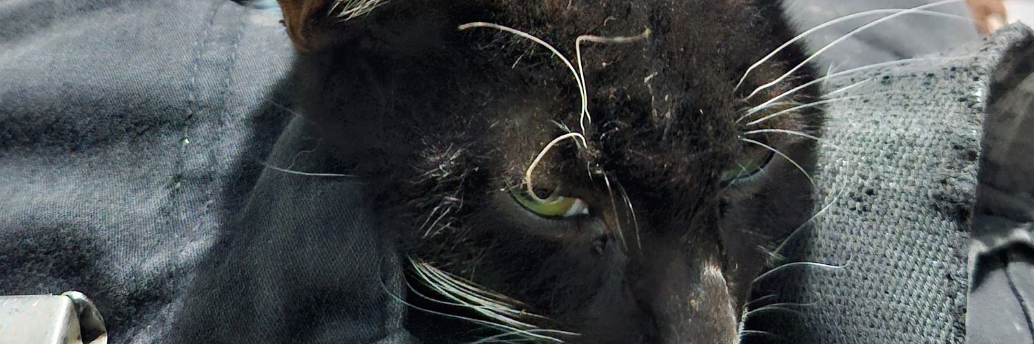 Mike banner