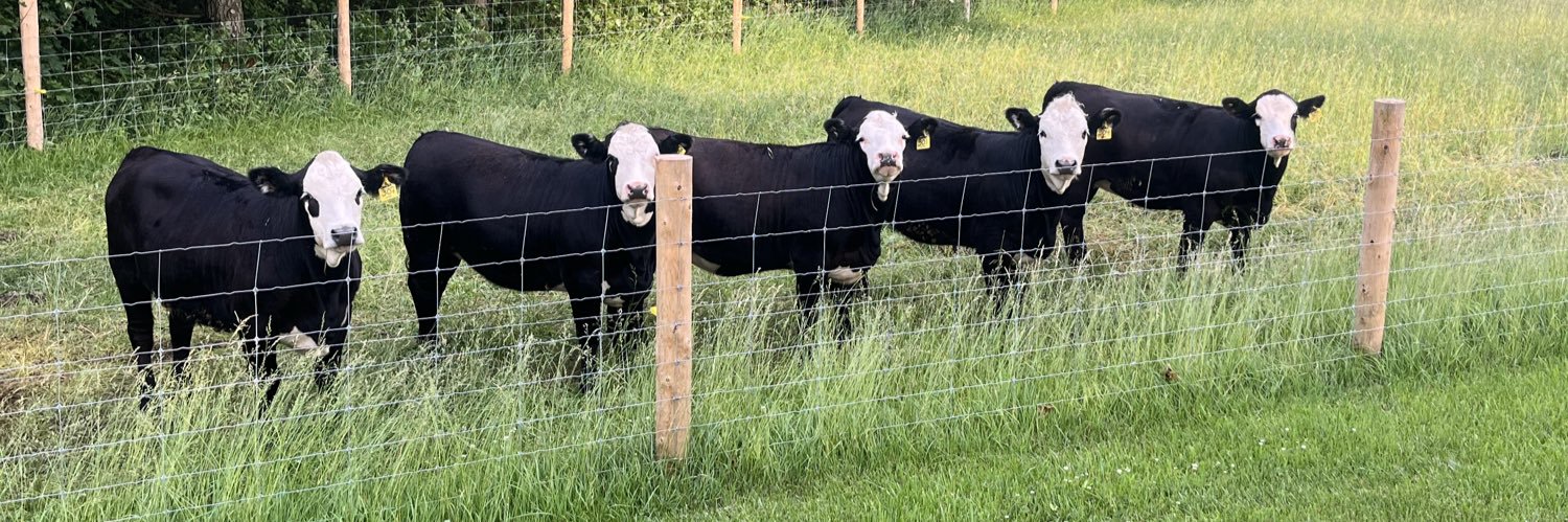 Dallas_Coultes banner