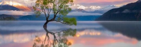 RichardChoffe Profile Banner