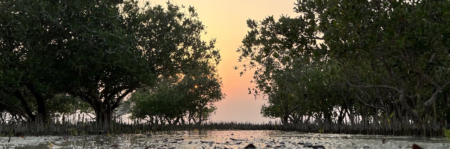 imoemaz's profile banner image