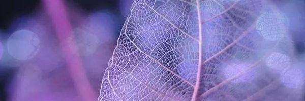 JakariaBah's profile banner image