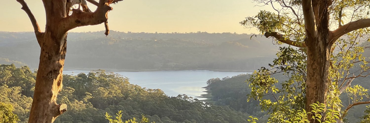🅳🅰🅽 🆄🅽🅳🅴🆁 🎖️ banner