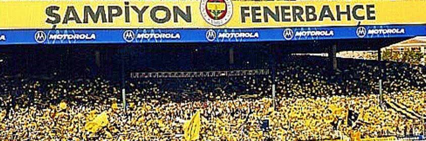 𝐓𝐨𝐧𝐢 𝐊𝐚𝐩𝐭𝐚𝐧 banner