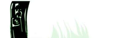 Zannn banner
