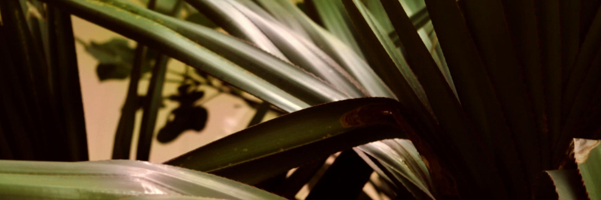 Reversionmusic's profile banner image
