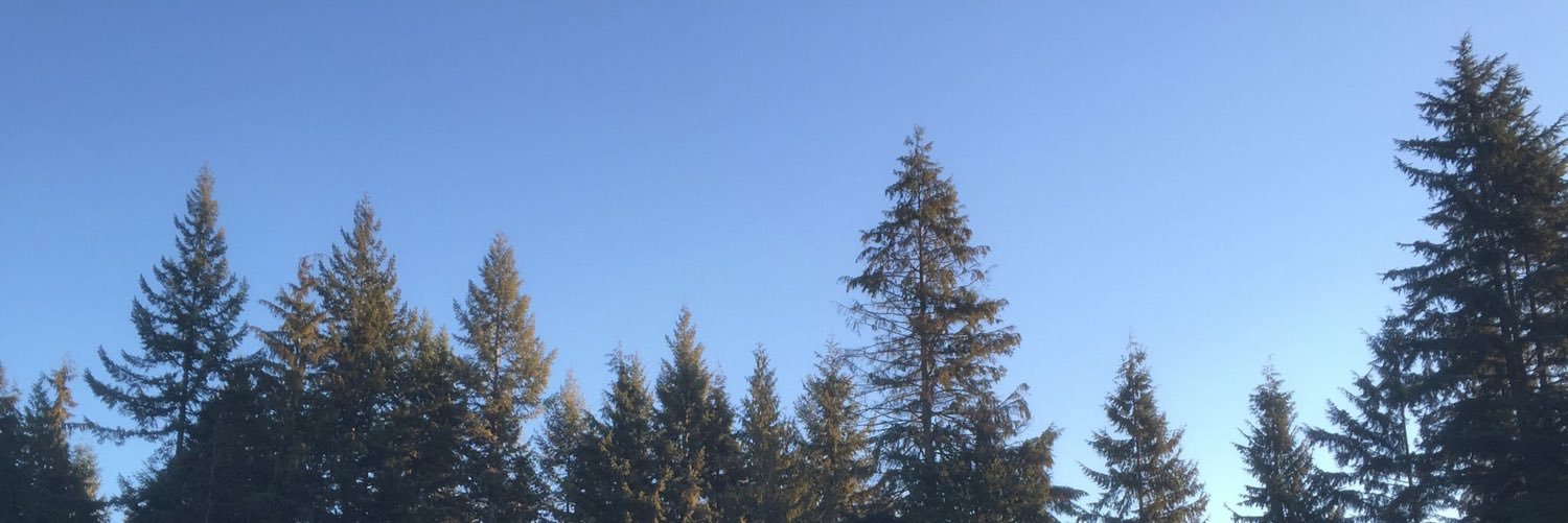 whiteknightwork's profile banner image