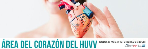 ACorazonHUVV Profile Banner