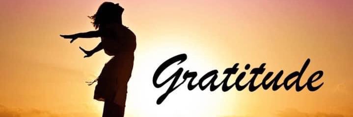 Bluebellreiki's profile banner image