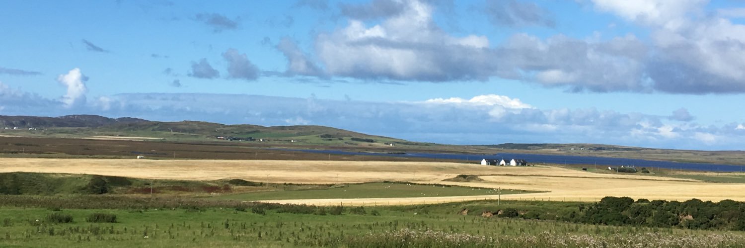 Gillian Provan banner