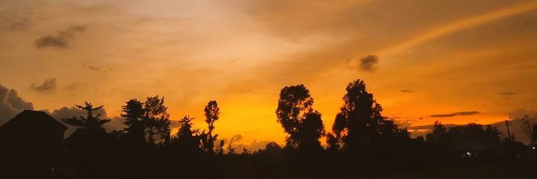 intansptrrr_'s profile banner image