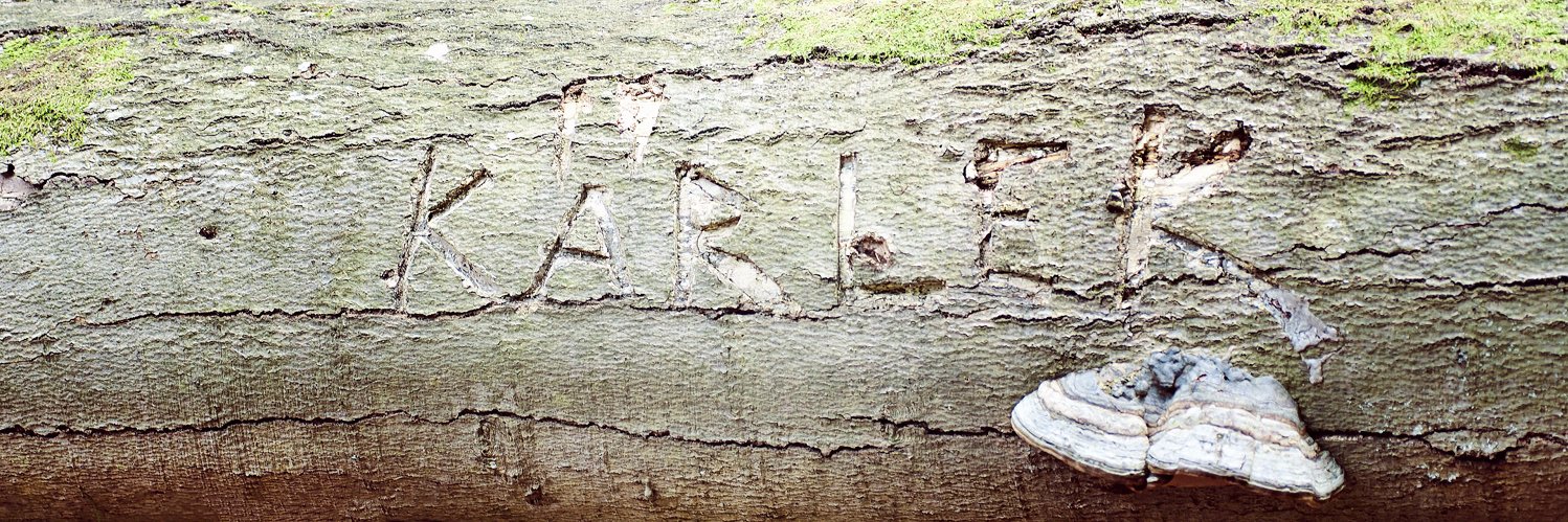 Bröllop Söderåsen banner