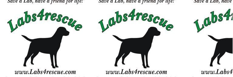 Labs4rescue banner