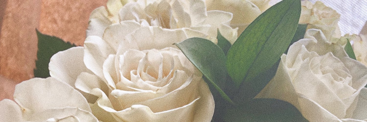ohhunnydrop's profile banner image