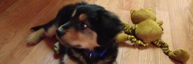 ben_bean03's profile banner image