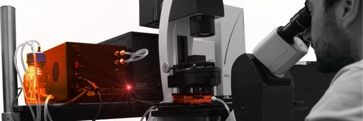 Géraldine ARDOIN banner