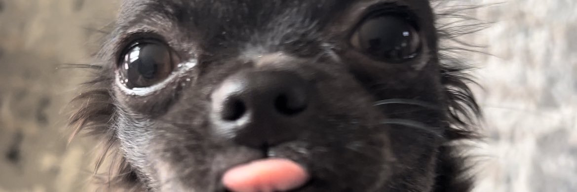 jenniwalker9's profile banner image
