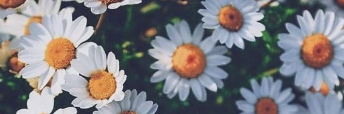 candela_251's profile banner image