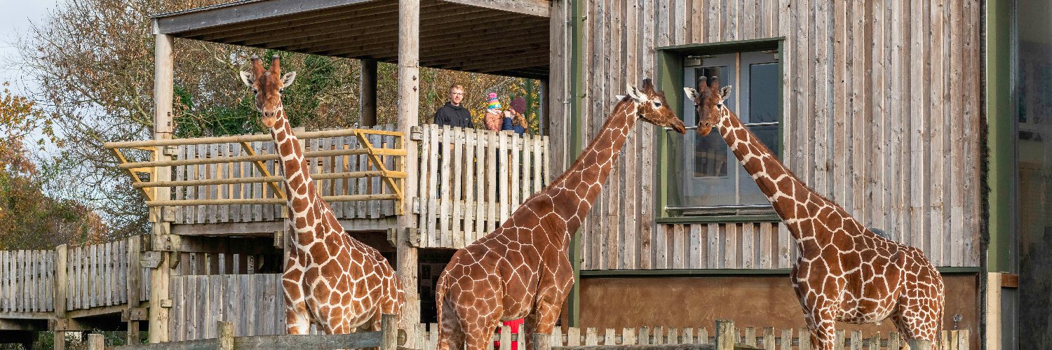 Bristol Zoo Project banner