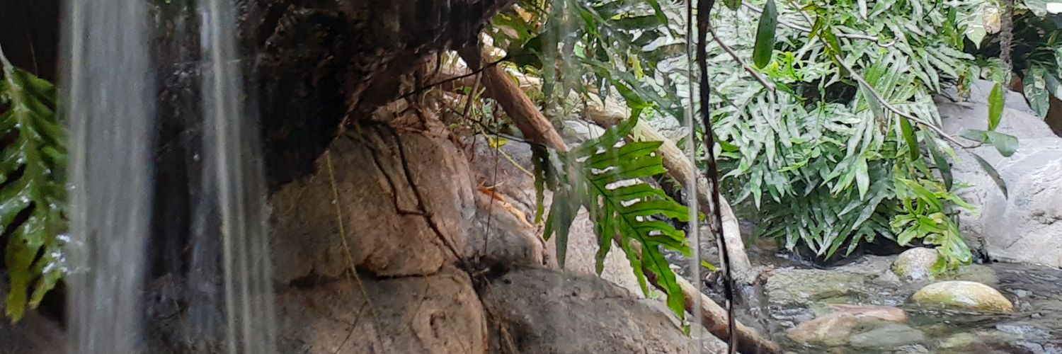 emontgo4's profile banner image