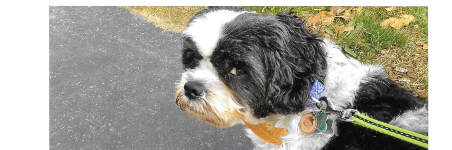 Muffy N (1/21/99-1/18/21) and Chloe 7/26/14 banner