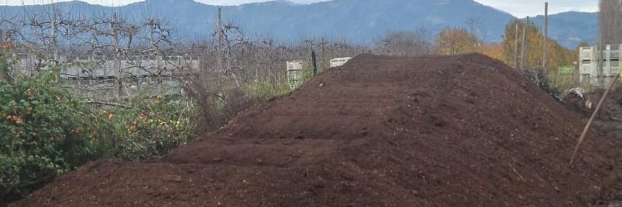 Daniel Carballido banner