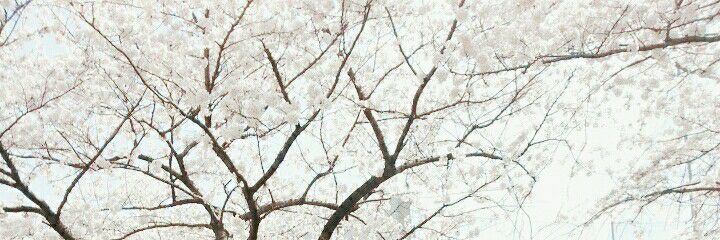 js980324's profile banner image