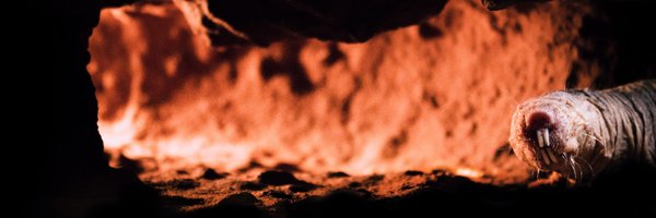 moleratsarego Profile Banner