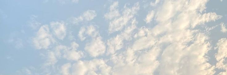 สีฝุ่น シ banner