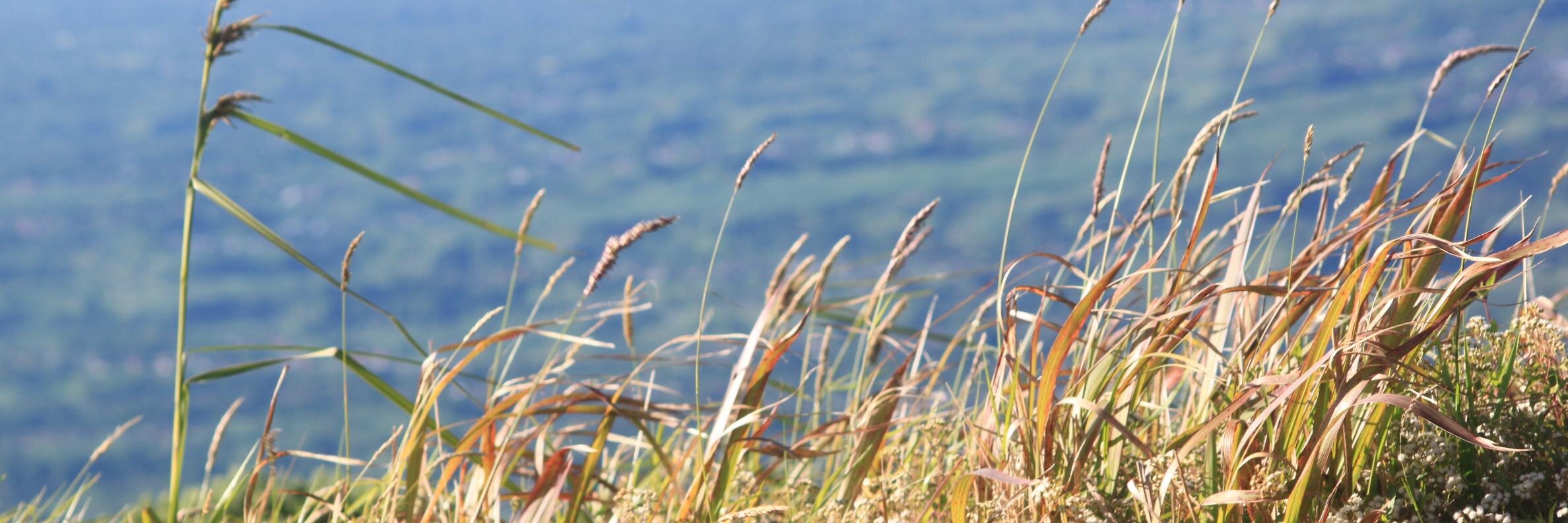 azkanurani's profile banner image
