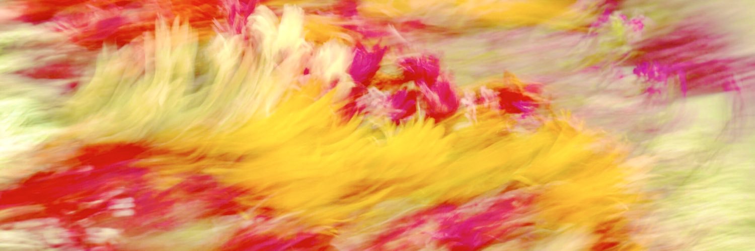 dokushocker's profile banner image