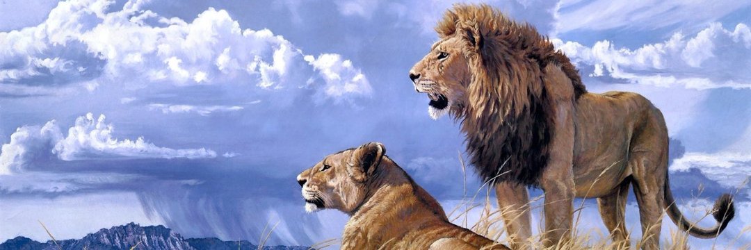 mac_haire's profile banner image