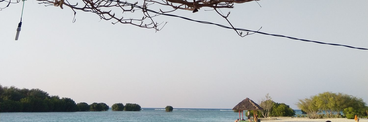 liahastien's profile banner image