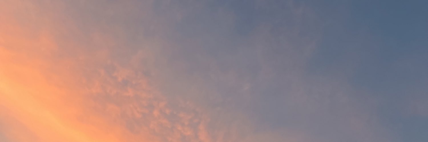Queralt Torradeflot banner