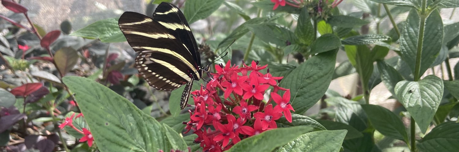 EcoDesign Lab banner