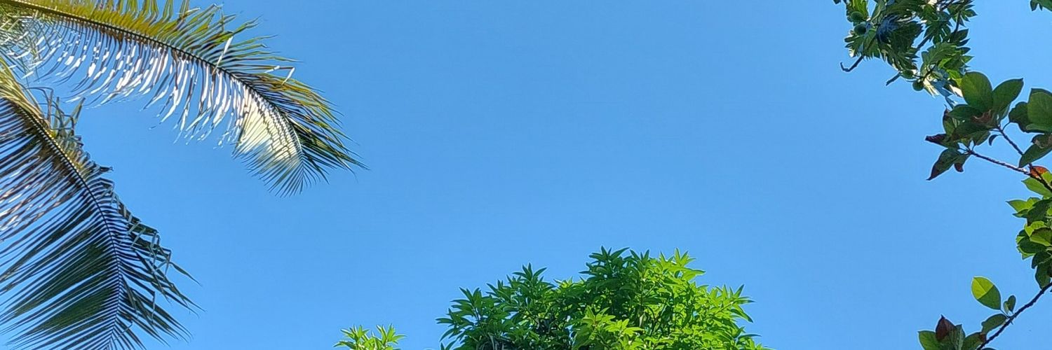 macener_assad's profile banner image