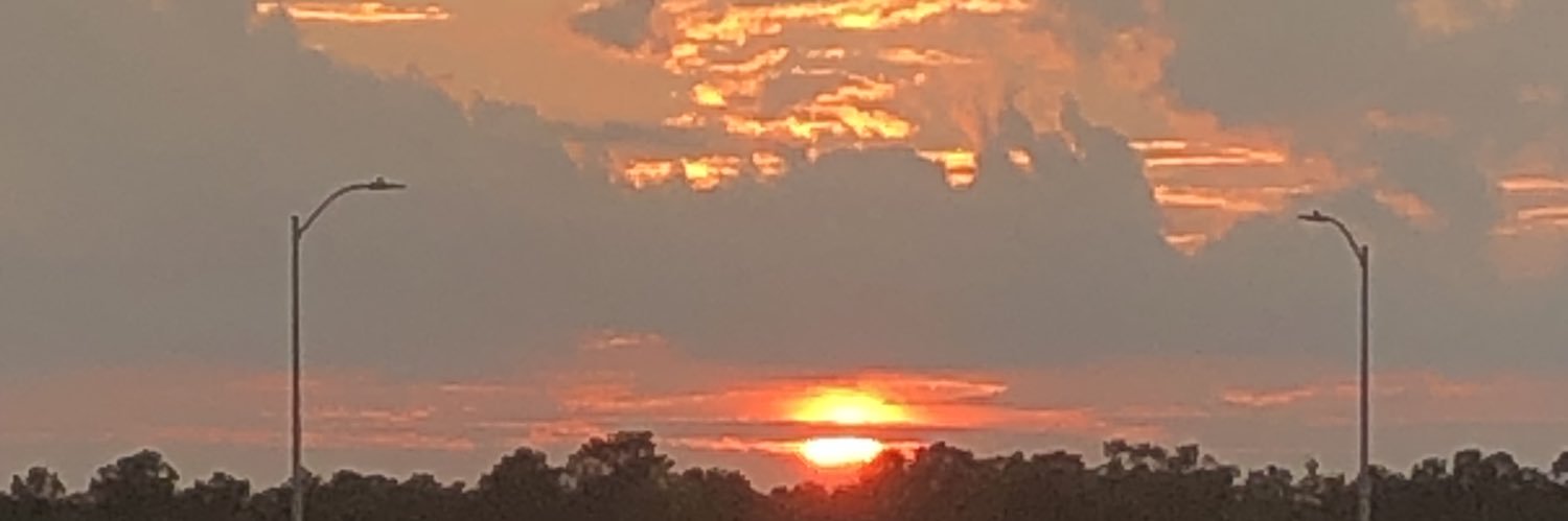 Cameron LaVell banner