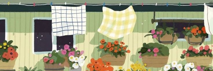 piradigm's profile banner image