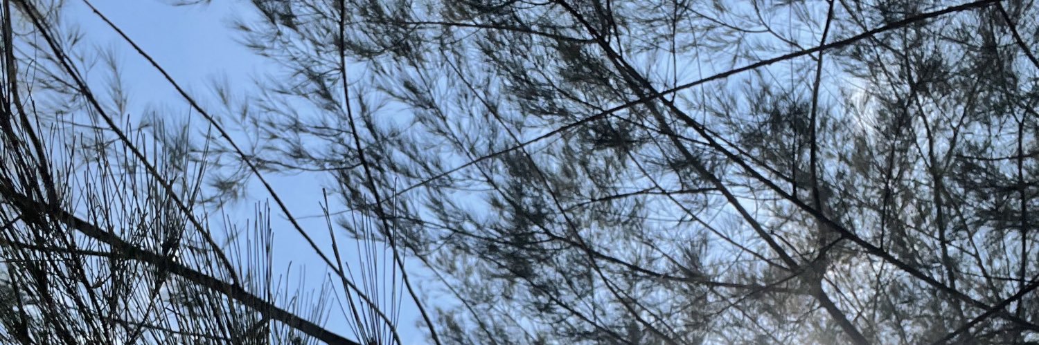 dhaniyahaimi's profile banner image