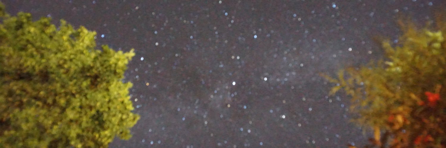 gammligerbro's profile banner image