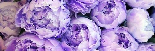 Maty banner