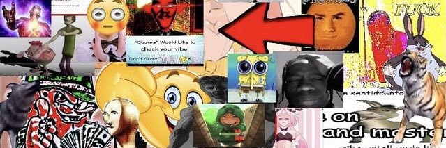 Tobi. banner