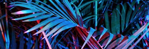 CaciDoux's profile banner image
