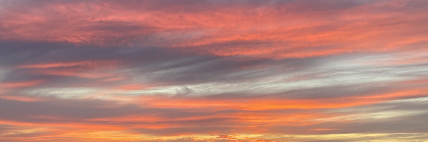 tunneyemily's profile banner image