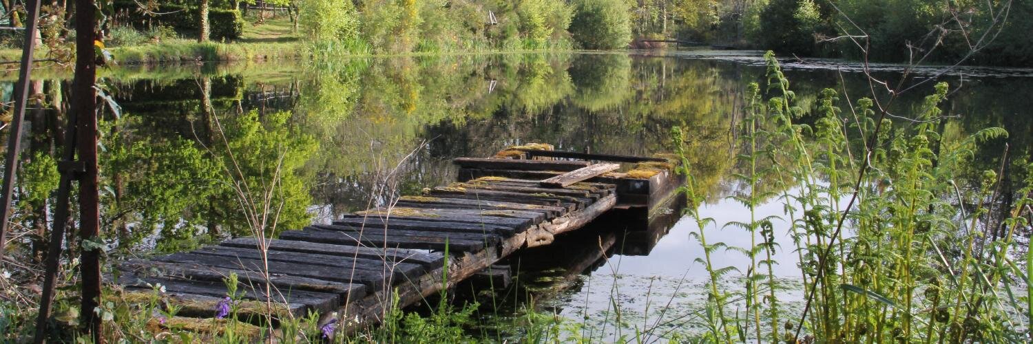 Laurent Radisson banner